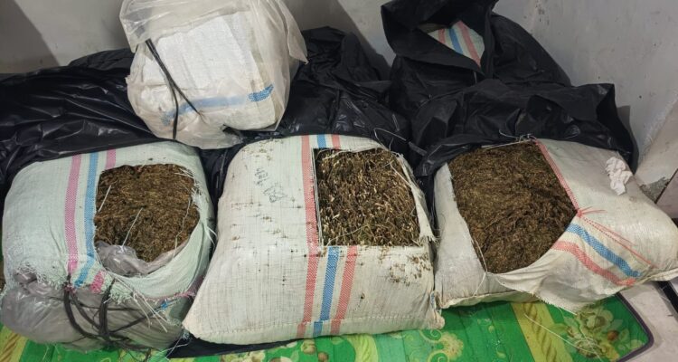 WhatsApp Image 2026-02-20 at 16.11.50