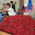 WhatsApp Image 2026-02-21 at 11.59.38