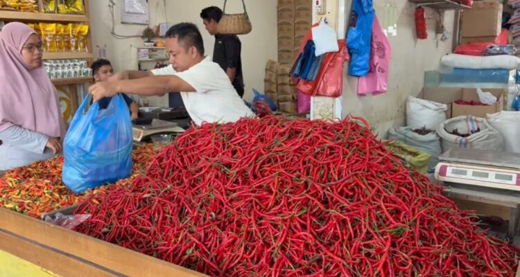 WhatsApp Image 2026-02-21 at 11.59.38