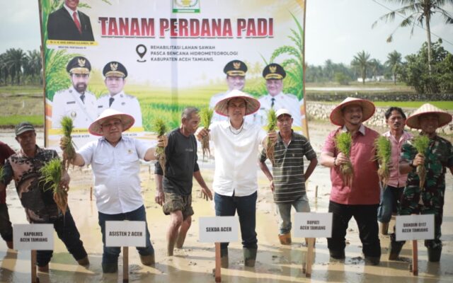 Pemerintah Aceh Percepat Pemulihan Pertanian Lewat Gerakan Tanam Padi Pascabencana